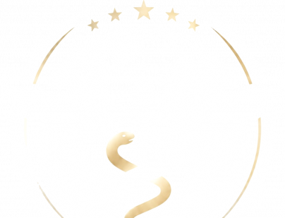 American Health Examiners & Certifications Inc.